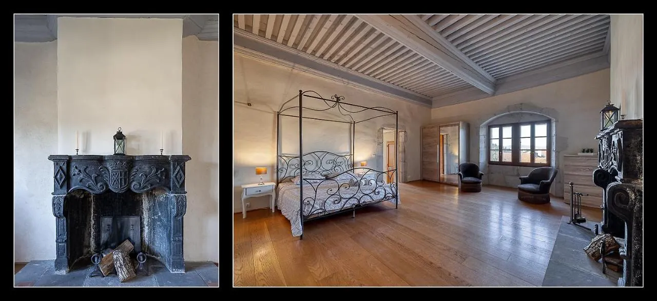 Le Domaine Du Chateau Seynod 0*,